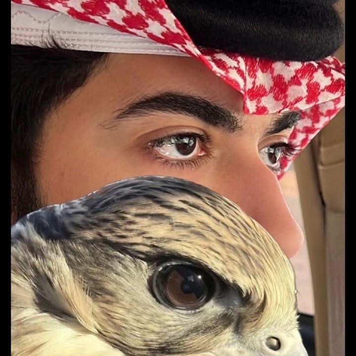 يارب الخير جعل الخير قدَّامي
وتنحشد لي من الفرحه صفُوف

يارب أصافح إن عشْت أحلامي
ومن البشر يارب أطهرهُم كفوف