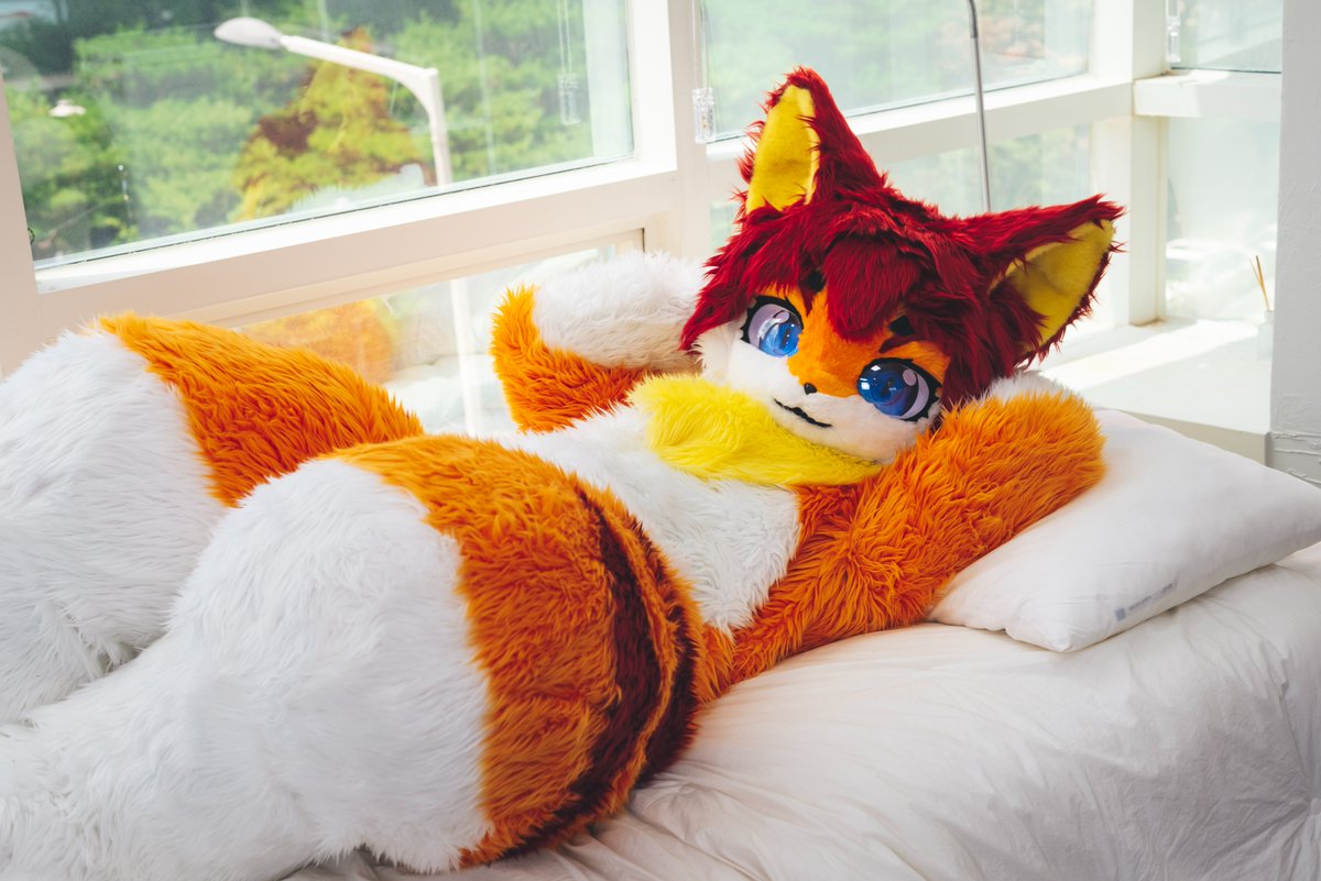 ์ฌ์น๐ํ์ (@neko_sa_chi) on Twitter photo ๋๋ ๊ฐ์ด ๋์ธ๋?
์ข.... ์ข์ ๊ฑฐ ๊ฐ๊ธดํ์ง๋ง ๋ง์ด์ผ
๐ธ:<a href="/DonDon_Fur/">๋๋ / DonDon</a>
#FursuitEverday #fursuit ๋๋ ๊ฐ์ด ๋์ธ๋?
์ข.... ์ข์ ๊ฑฐ ๊ฐ๊ธดํ์ง๋ง ๋ง์ด์ผ
๐ธ:<a href="/DonDon_Fur/">๋๋ / DonDon</a>
#FursuitEverday #fursuit