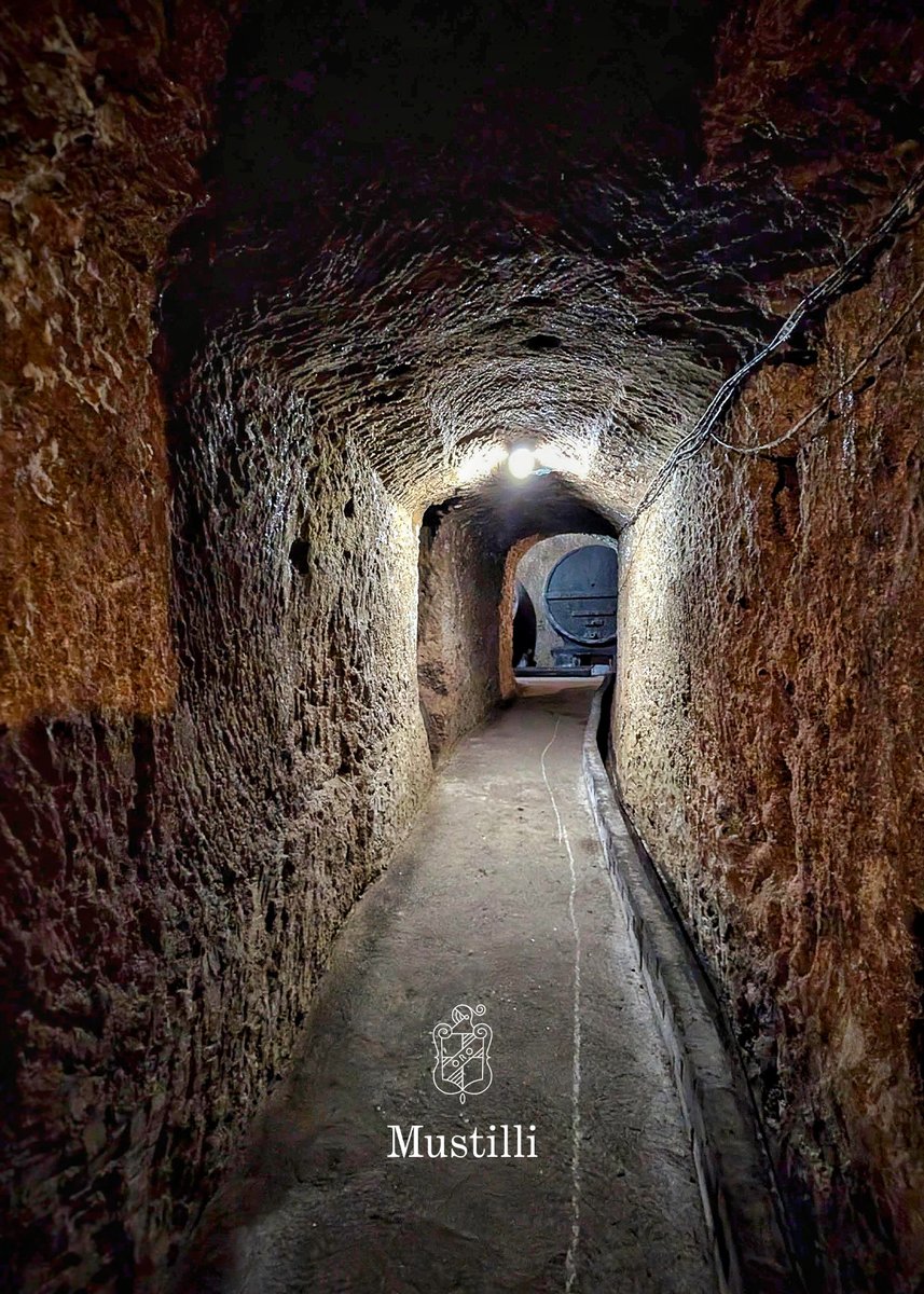 Cantine Mustilli tweet media