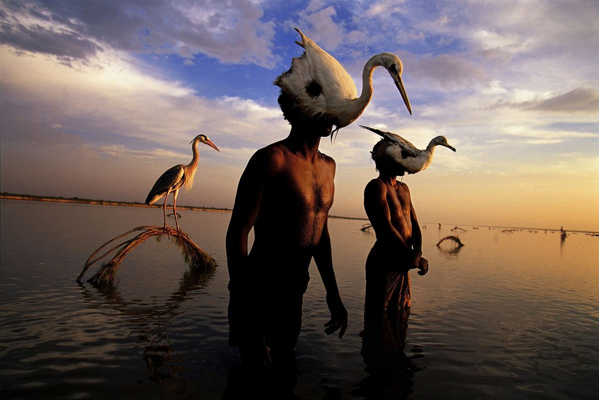 Mohanis fishermen in Pakistan wearing headgear made from herons as camouflage

Randy Olson