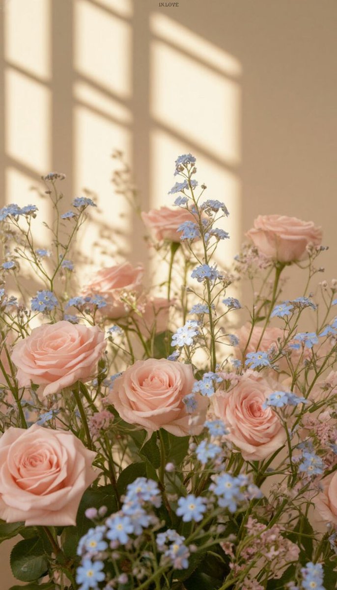 Javaria Malik tweet media