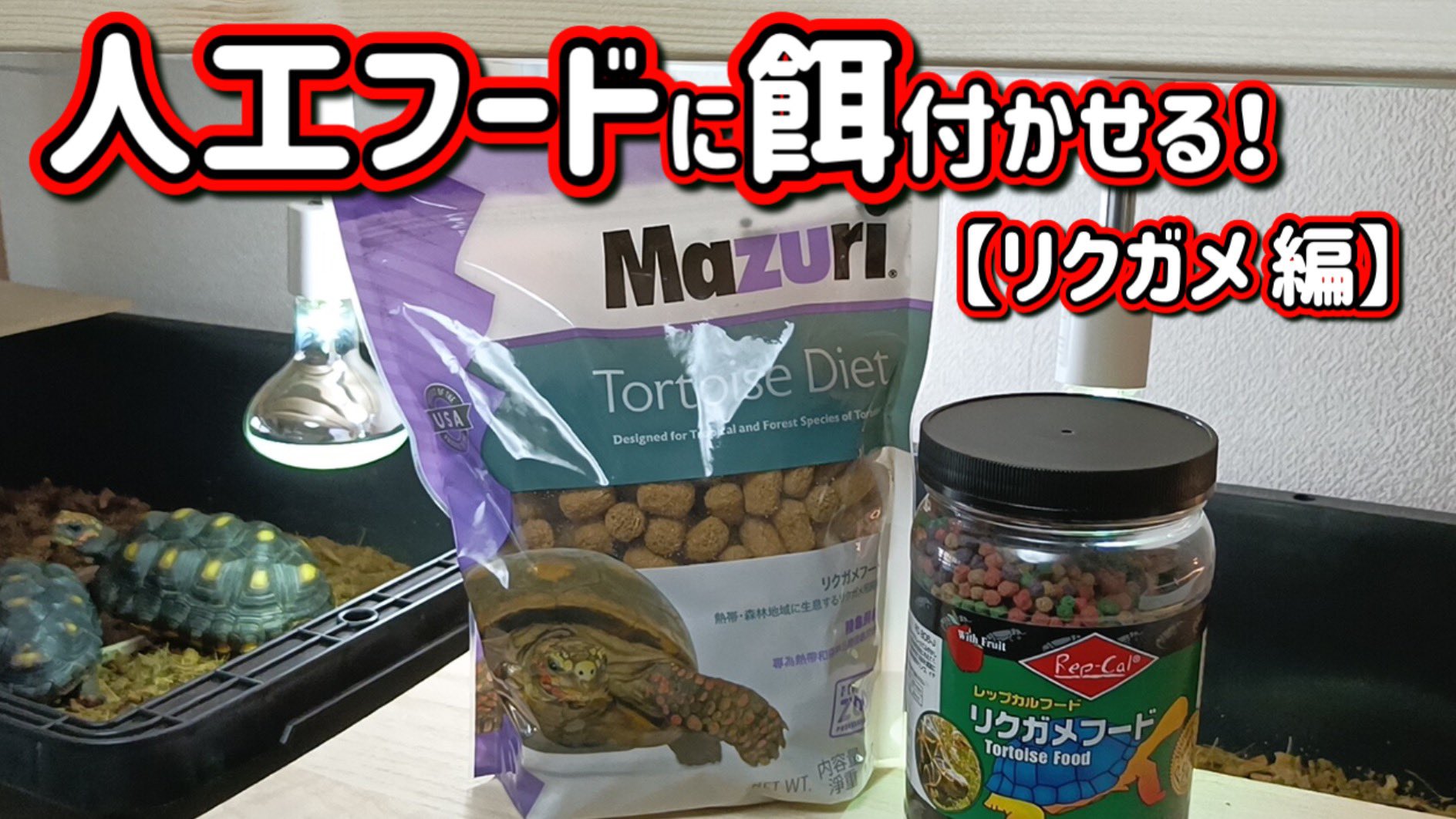 joeの物 Iron Boulder ex #100 Prices | Pokemon Japanese Cyber Judge