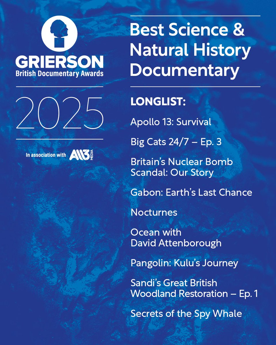 Insight Film tweet media