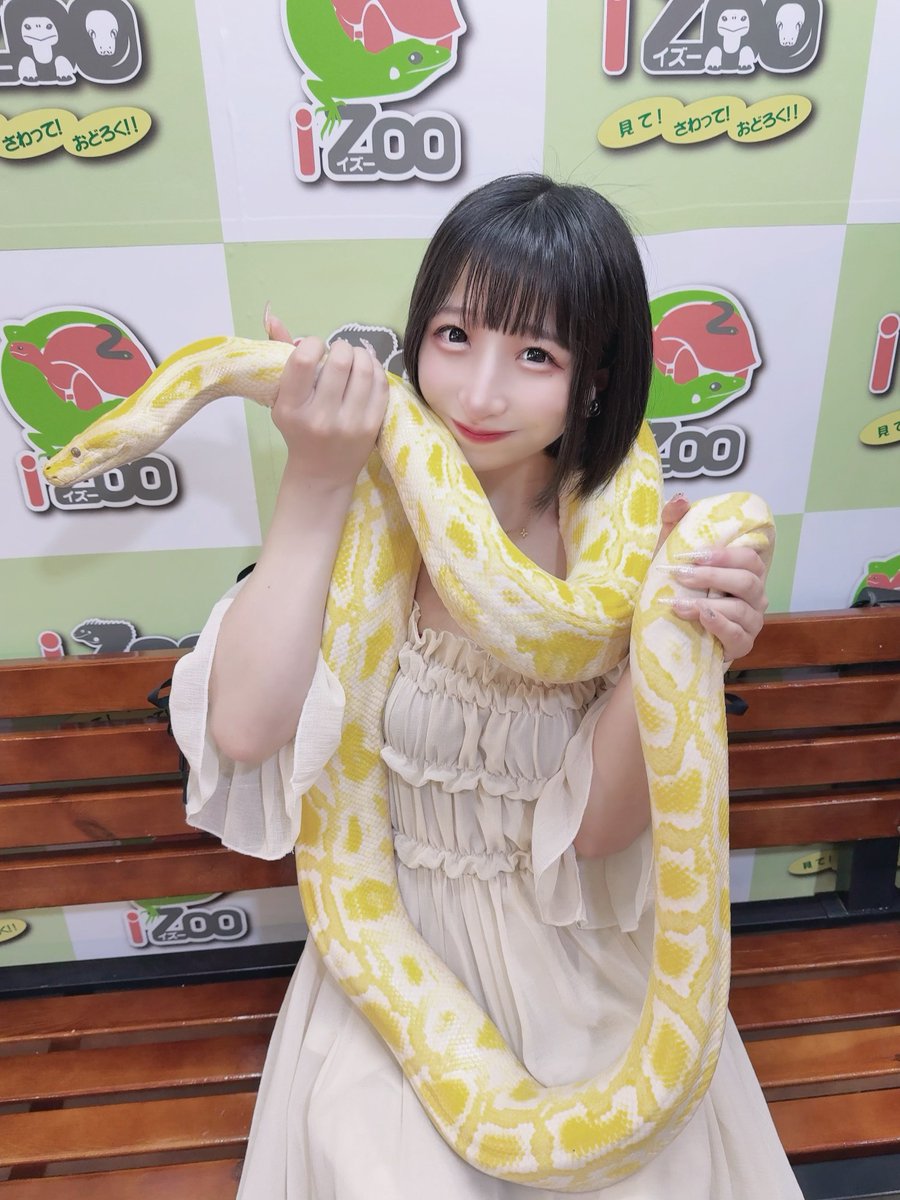 ヘビって本当魅力的！
僕の家族は僕以外全員蛇好きじゃないんだ