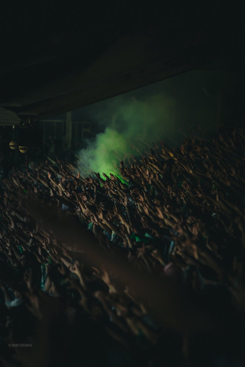 💚 Ilusión encendida.
Unidos, empezamos otro sueño.

CREO EN TI, <a href="/RealBetis/">Real Betis Balompié 🌴💚</a>