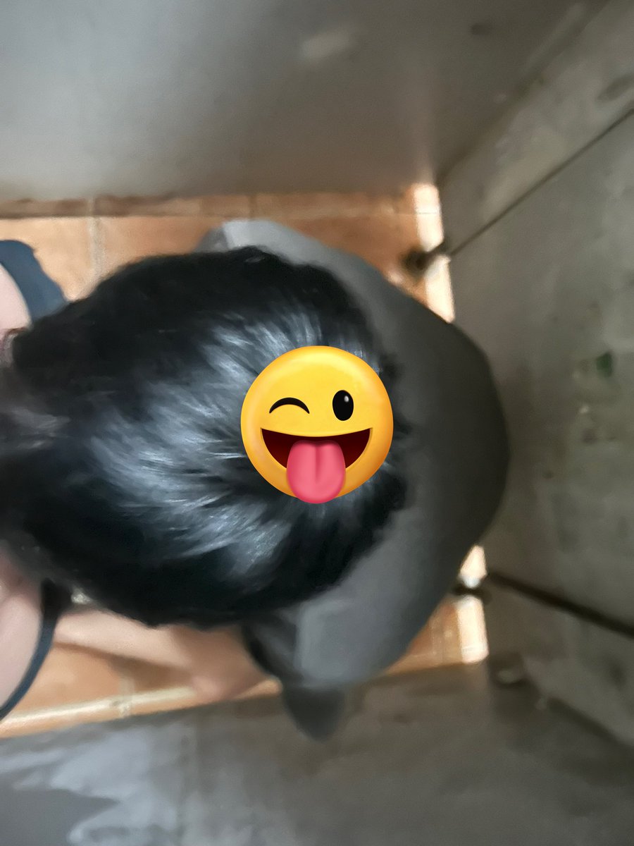 随心 tweet media