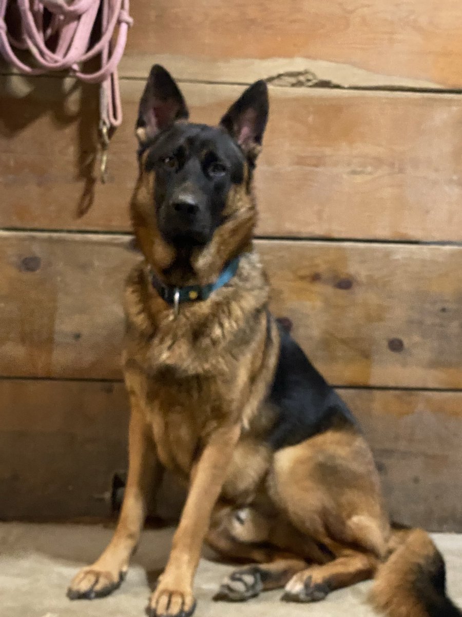 Good Morning Friends