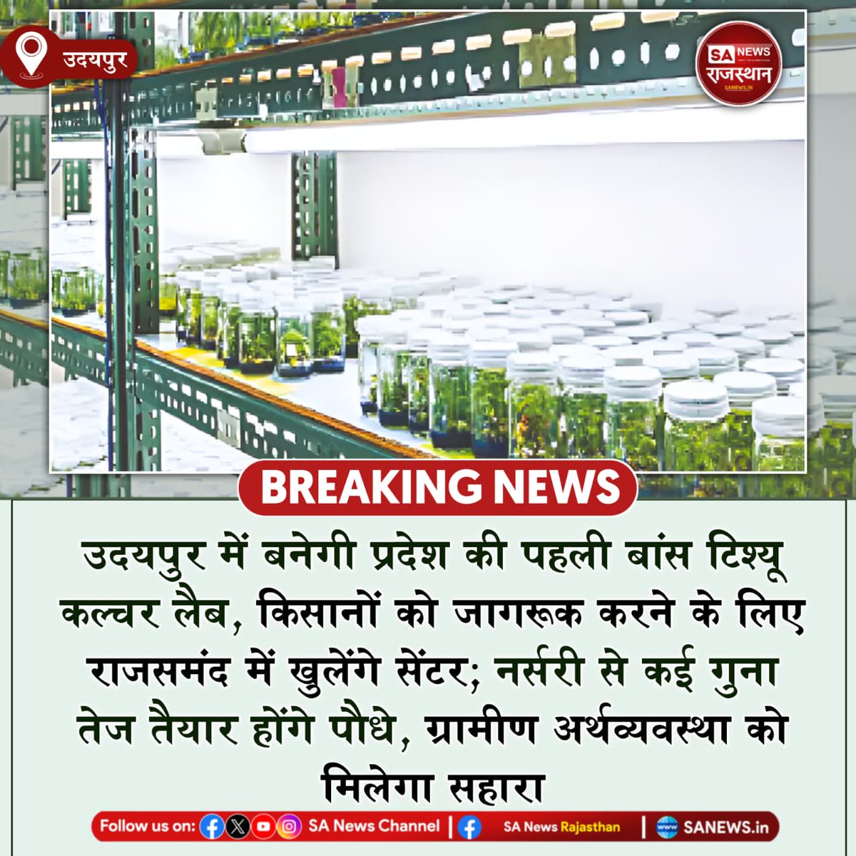 SANewsRajasthan's tweet photo. उदयपुर में बनेगी प्रदेश की पहली बांस टिश्यू कल्चर लैब, किसानों को जागरूक करने के लिए राजसमंद में खुलेंगे सेंटर, नर्सरी से कई गुना तेज तैयार होंगे पौधे, ग्रामीण अर्थव्यवस्था को मिलेगा सहारा
#Udaipur #Rajasthan #BambooFarming #Agriculture #RuralEconomy #BreakingNews #SANews https://t.co/u3siLzF3Gi