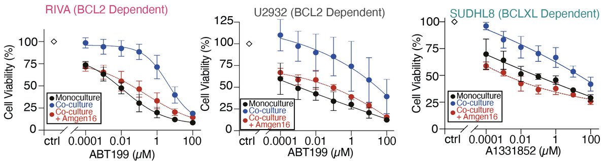 SiFTW's tweet photo. Finally, we find that despite all this complexity there is one strategy that always works to overcome the TME.
Inhibition of the key regulator of non-canonical NF-kB (NIK) totally neutralises the drug resistance caused by the TME in DLBCL🎉
5/🧵 https://t.co/OfSVPziwGj
