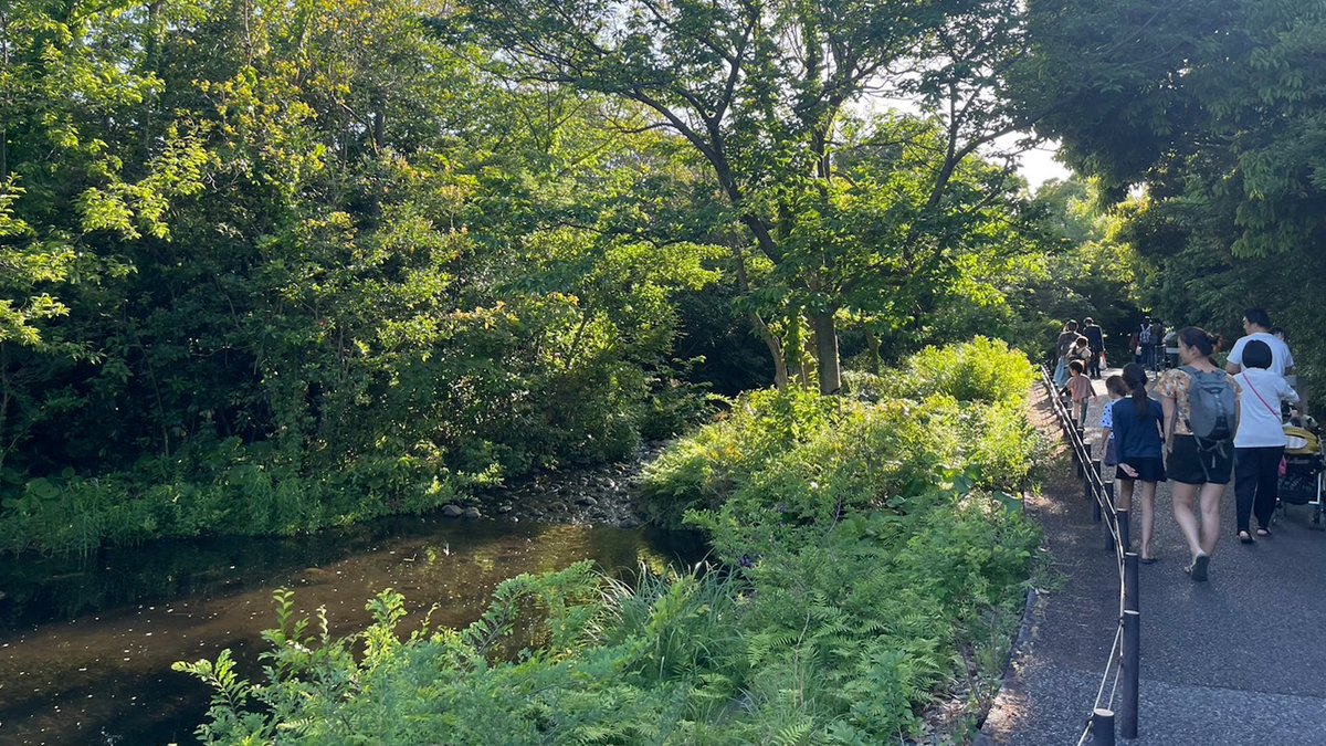 葛西臨海水族園で壊された森が「人工林だから問題ない」との意見がありました。しかし、ここはNY近代美術館（MoMA）などを手掛けた世界的建築家・谷口吉生がデザインした、とても美しい森でした。30年前は干潟だった場所に木を植え、ようやく美しい森に育ったところを、東京都は破壊したのです。自然的