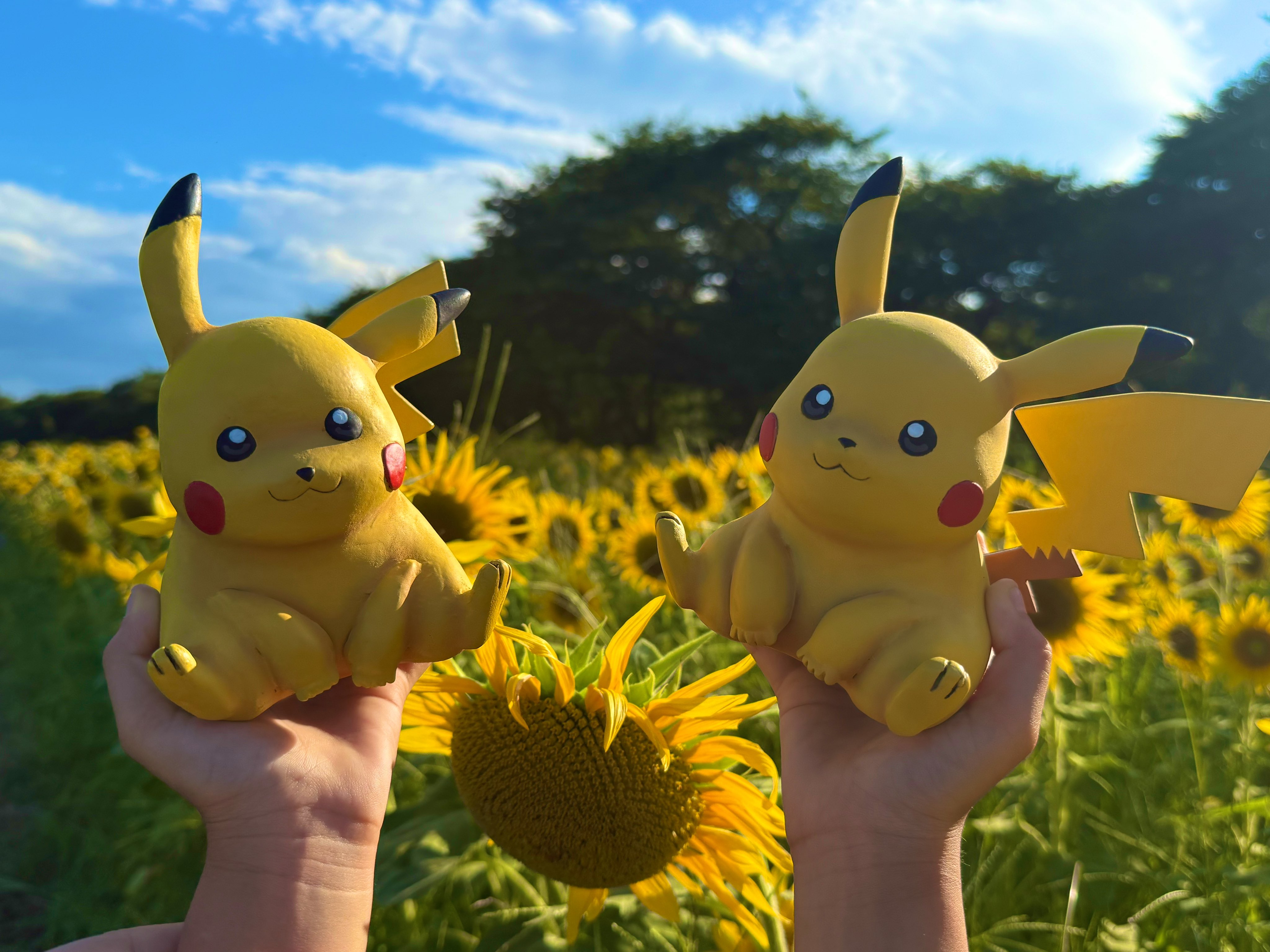 鈴木パンダ🐼 on X: 