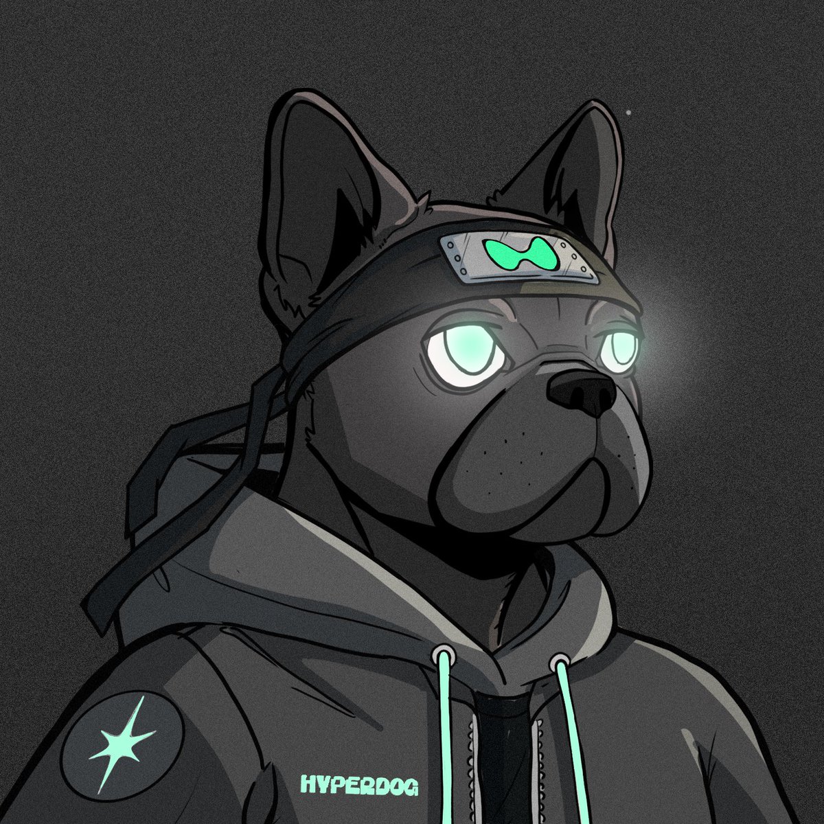 HyperdogHL's tweet photo. @demi_hl @ottionhl @PiPonHL @baldbrothers_ @LiquinaHL @ADHD_HL @Hypaos @purrto10 Hyperdog minting today at https://t.co/iIySQ5dEuS launchpad in case u are interested https://t.co/d3MsEHPMyK