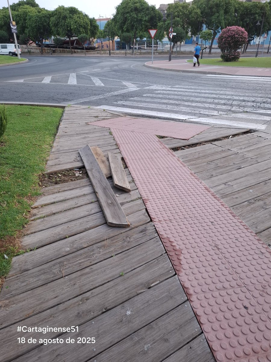 Cartaginense51 tweet media