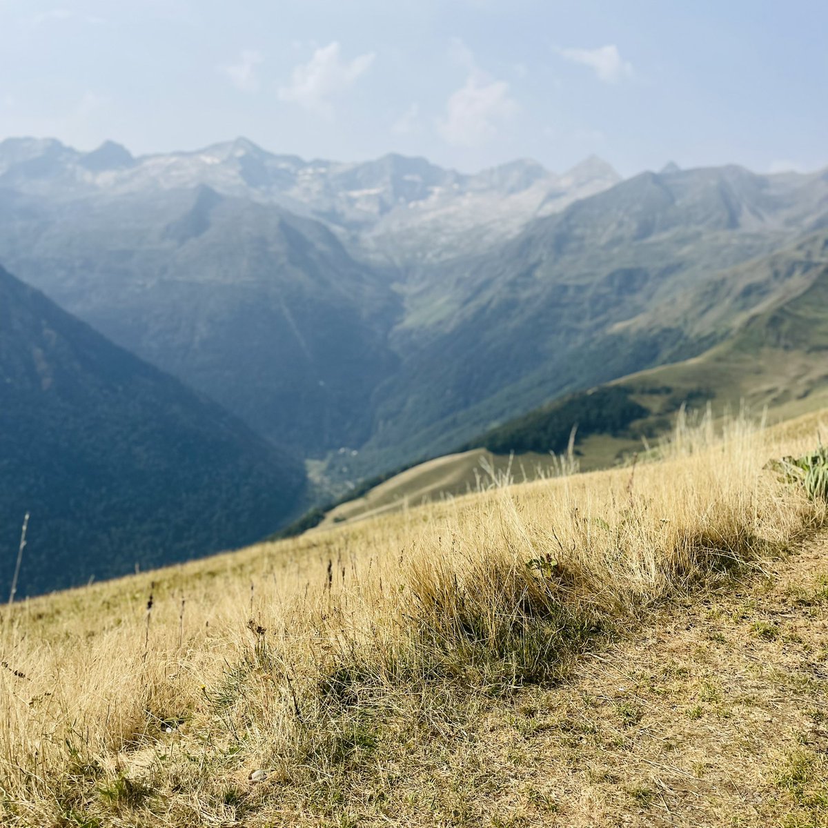 Pas besoin de mot …