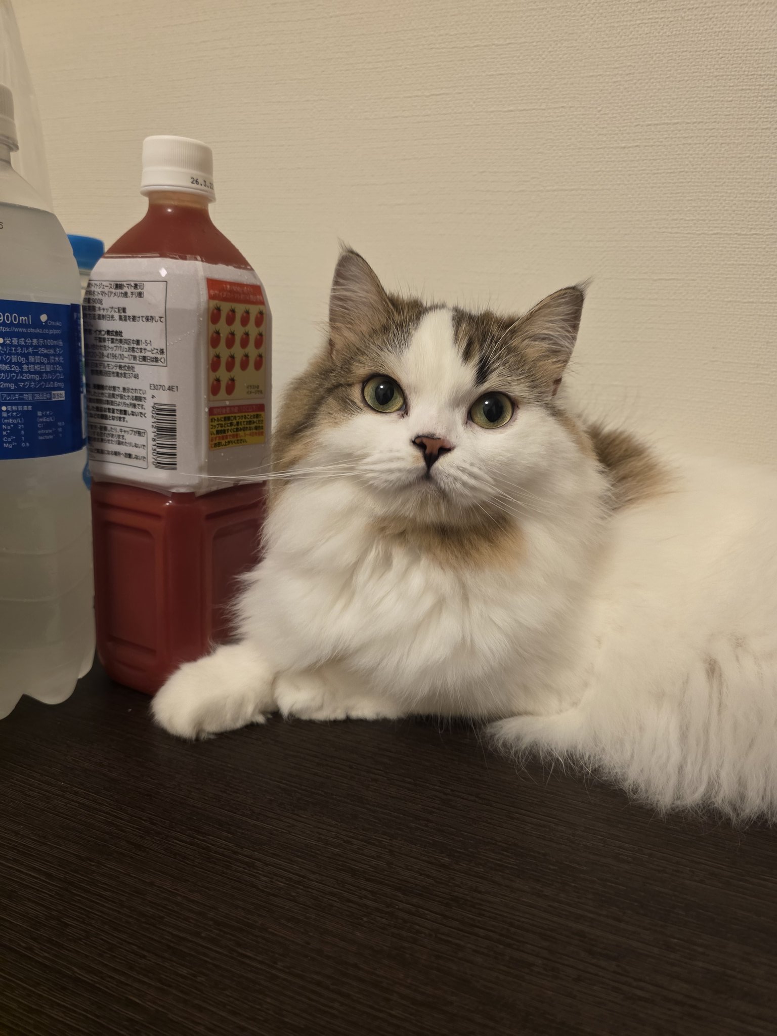 長女あおちゃん - Search / X