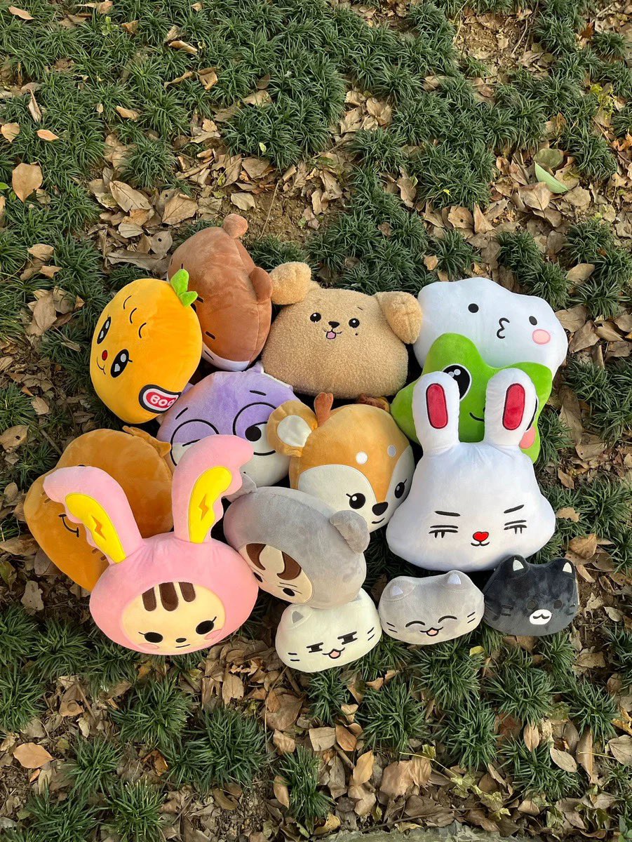 hi! may inch ba ng dupe miniteen pillow?? 

₱300-399 + isf