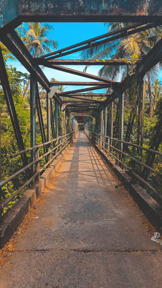 opspl's tweet photo. 19th August is World Photography Day.
Our team marked it by sharing their favorite shots — from sunsets in Goa to rivers and nature’s beauty. Every photo tells a story worth remembering.
#WorldPhotographyDay #LifeInFocus #OPSPL https://t.co/Vsytz8xSq1