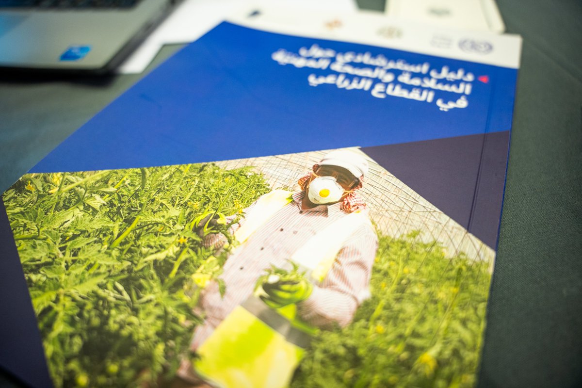 IloProspects's tweet photo. The @ilo, with Jordan’s @MofLabour  &amp; @ministryofagri1,  launched a new Occupational Safety &amp; Health Guide for Agriculture, providing practical tools to improve safety, reduce risks &amp; promote #DecentWork in one of Jordan’s most at-risk sectors. Read more: https://t.co/aYcmDTVC4B https://t.co/SpZt5Z2BW3