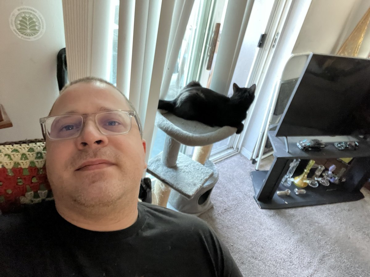 Gm Vibes w/ Zeus my cat..