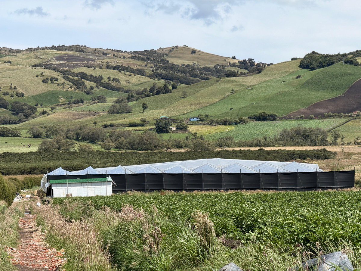 Cuidar los páramos es proteger el agua 💧 
Gracias a una denuncia ciudadana que recibimos en la <a href="/CAR_Cundi/">CAR Cundinamarca</a>, suspendimos actividades ilegales en el Páramo de Guerrero en Zipaquirá, Cundinamarca. 

Las actividades de cultivos de rosas estaban afectando área protegida.🌱

¡Seguimos