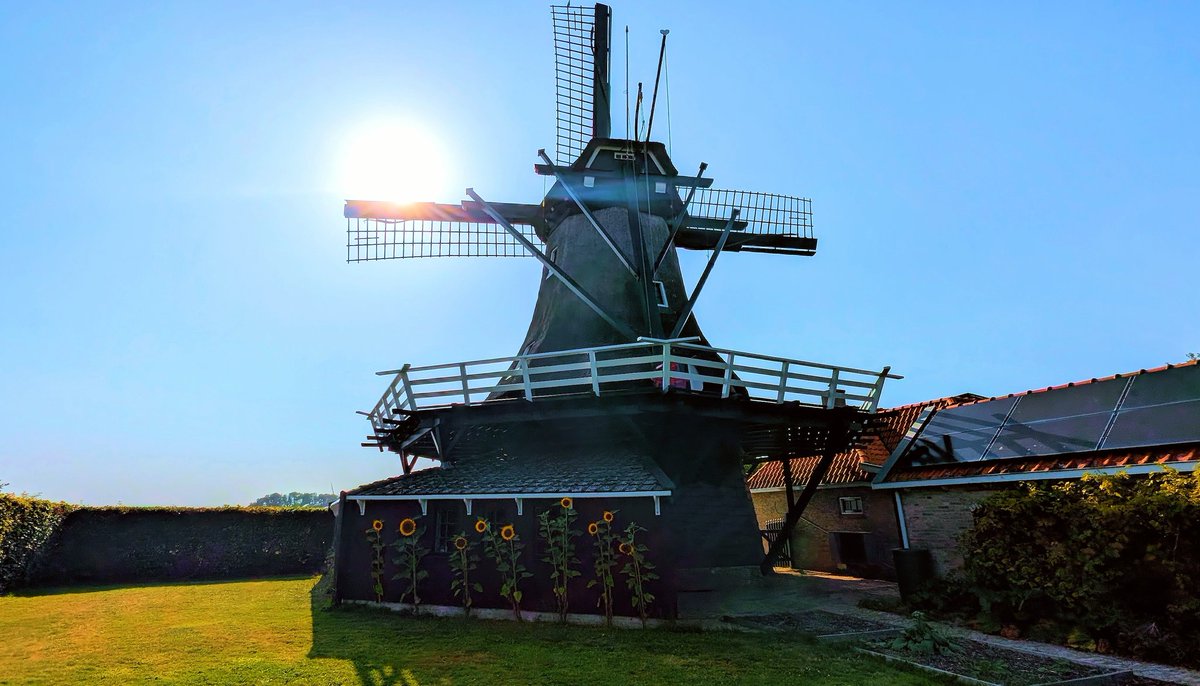 Een mooie strakblauwe lucht vanmorgen.

#Zomer #RTL #weerfoto
<a href="/weerverteller/">Weerverteller.nl</a>⁩ <a href="/BuienRadarNL/">Buienradar</a> <a href="/weermanrobert/">➡️ Robert de Vries</a> ⁦<a href="/MeteoVoorne/">Meteo Voorne Aan Zee</a>⁩ ⁦<a href="/janvissersweer/">JAN VISSER</a>⁩ ⁦<a href="/Weerplaza/">Weerplaza.nl</a>⁩ ⁦
<a href="/onwukaa/">Amara Onwuka</a> <a href="/HartvNL/">Hart van Nederland</a>