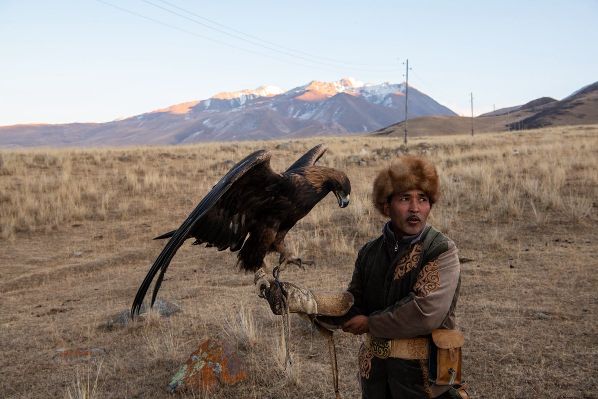 Untamed Borders tweet media