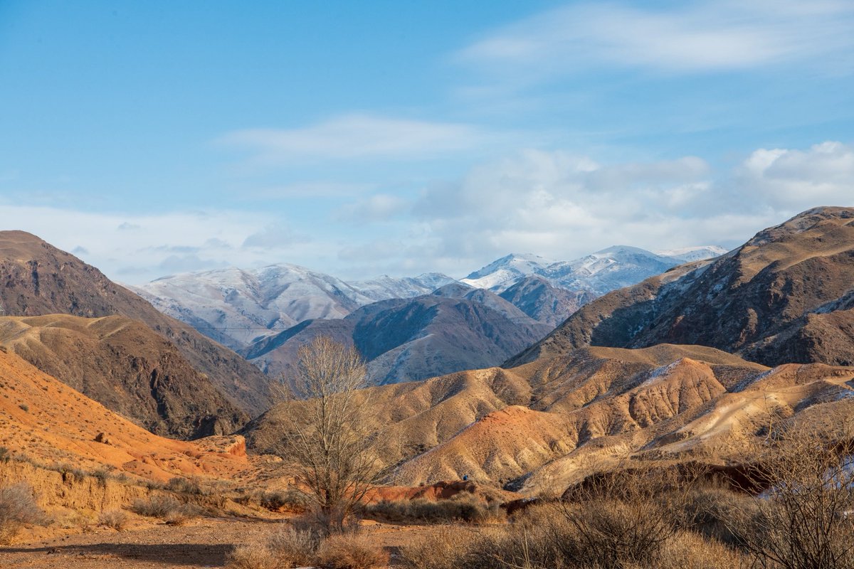 Untamed Borders tweet media