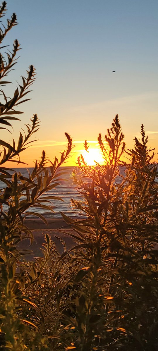 Good morning friends
Sunrise Monday 😎