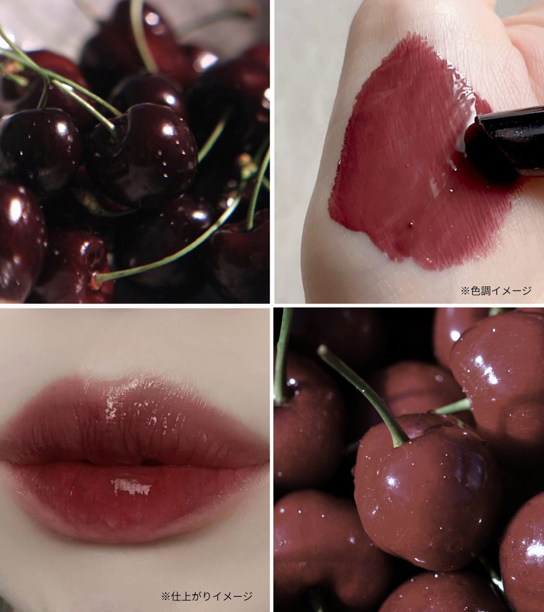 shabon《公式》 tweet media