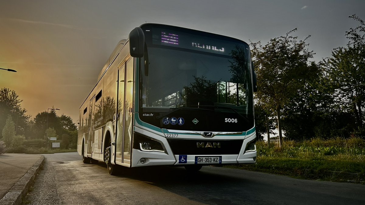 Ψ. Yoshi 🐲 tweet media