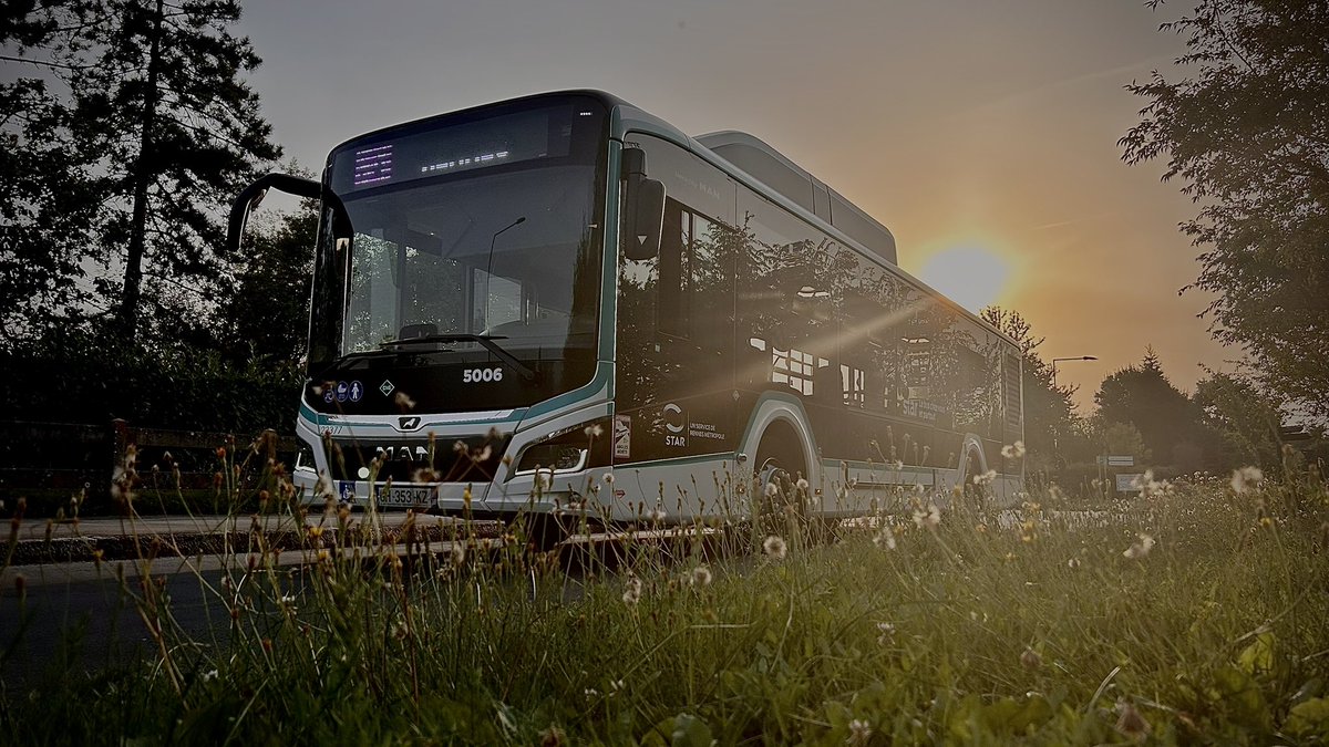 Ψ. Yoshi 🐲 tweet media