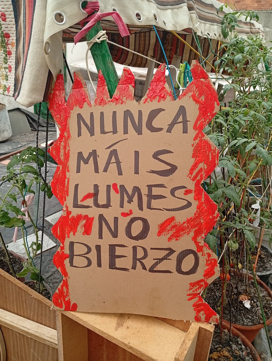 bierzoxa (@bierzoxa) on Twitter photo 