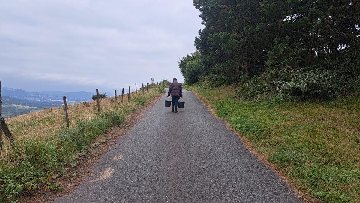 Save_Kilvey_Hill tweet media