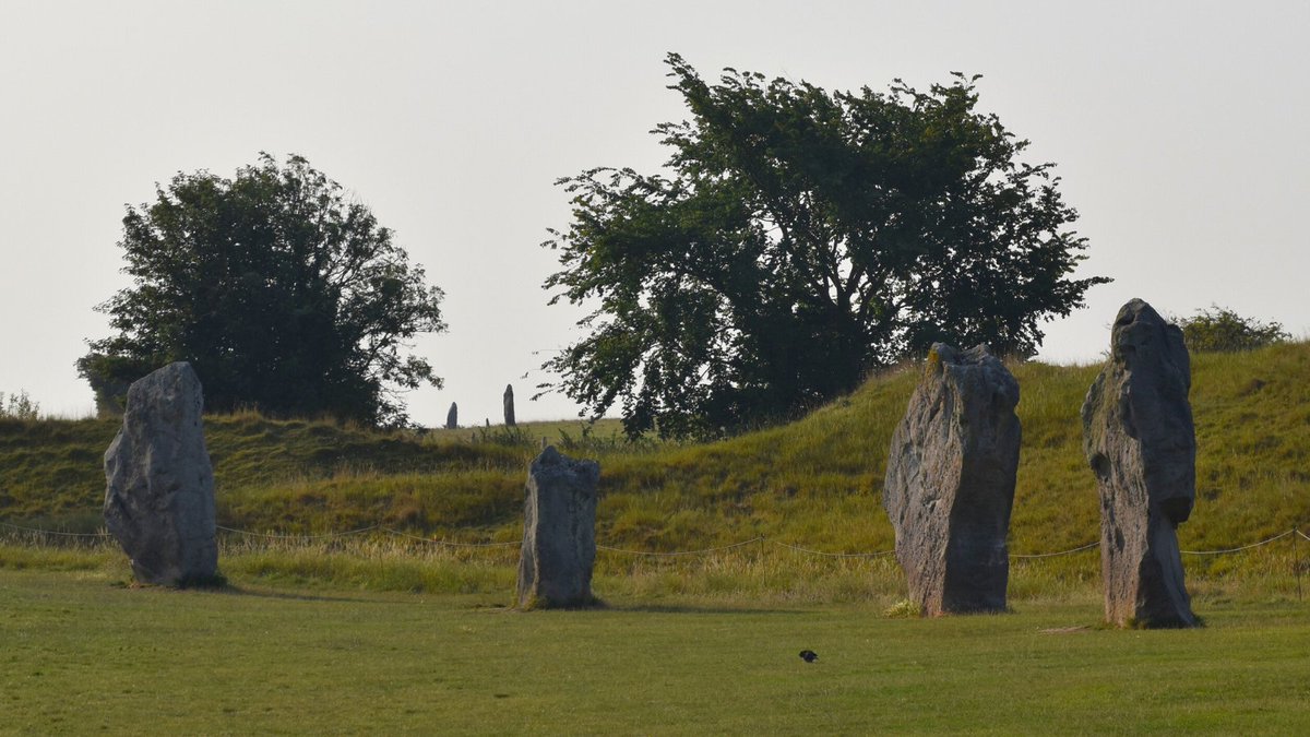 Early morning in the SW sector at #Avebury. Two of the standing stones lining West Kennet Avenue are visible through the trees.