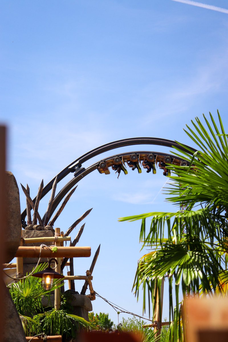 Gizu_Coaster tweet media