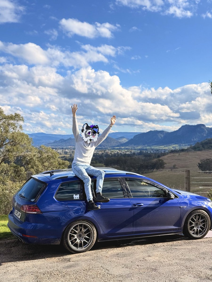 Sneps love twisty meowtain drives 🐱