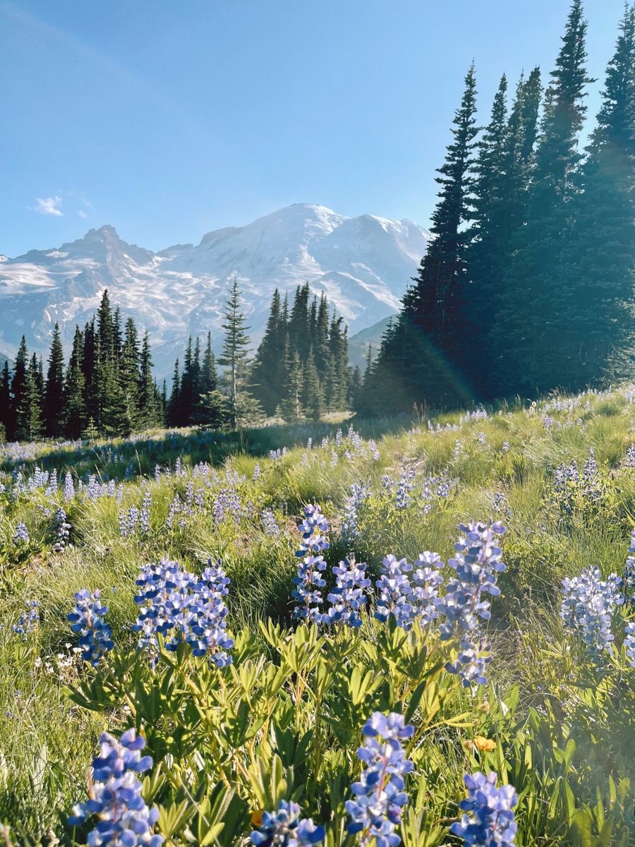 ♡ (@aestheticbased) on Twitter photo 