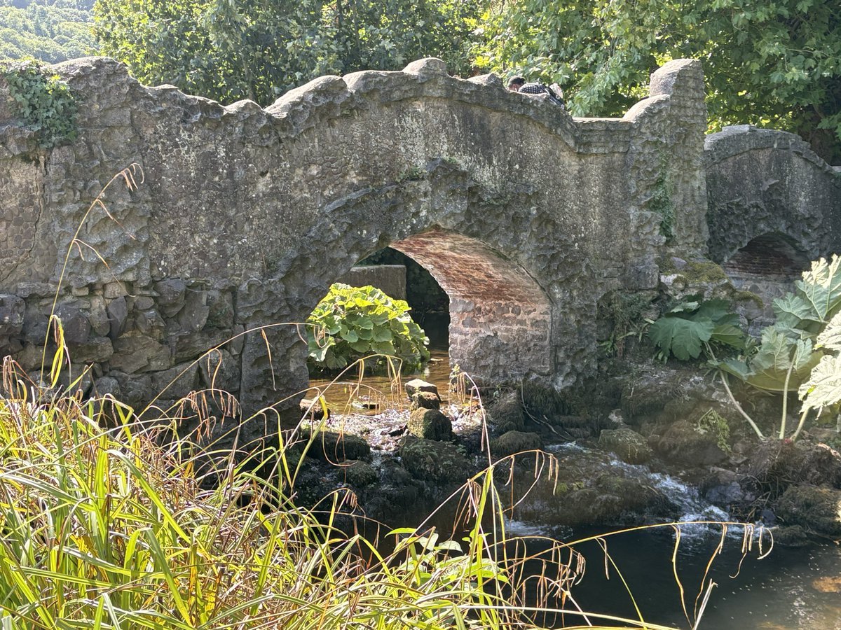 Jane Solomons tweet media