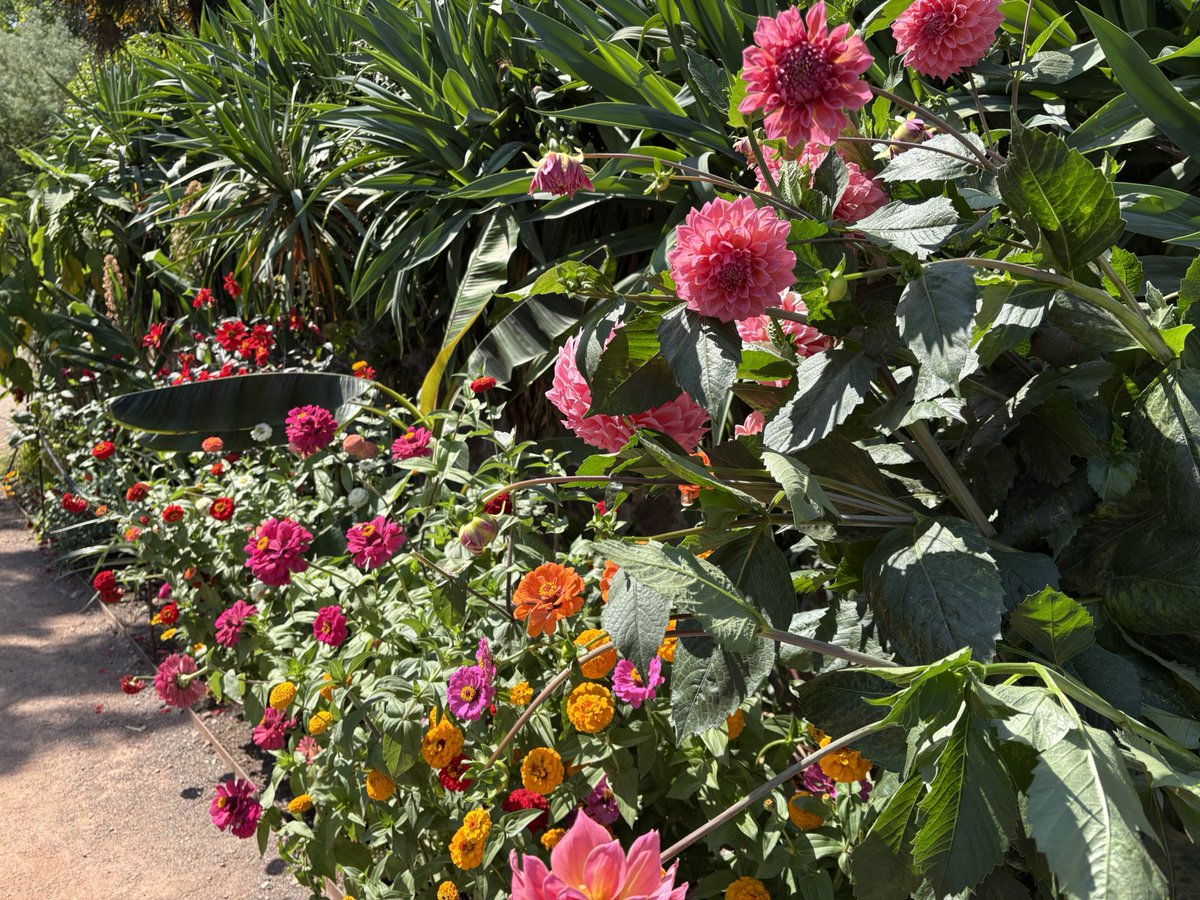 Jane Solomons tweet media