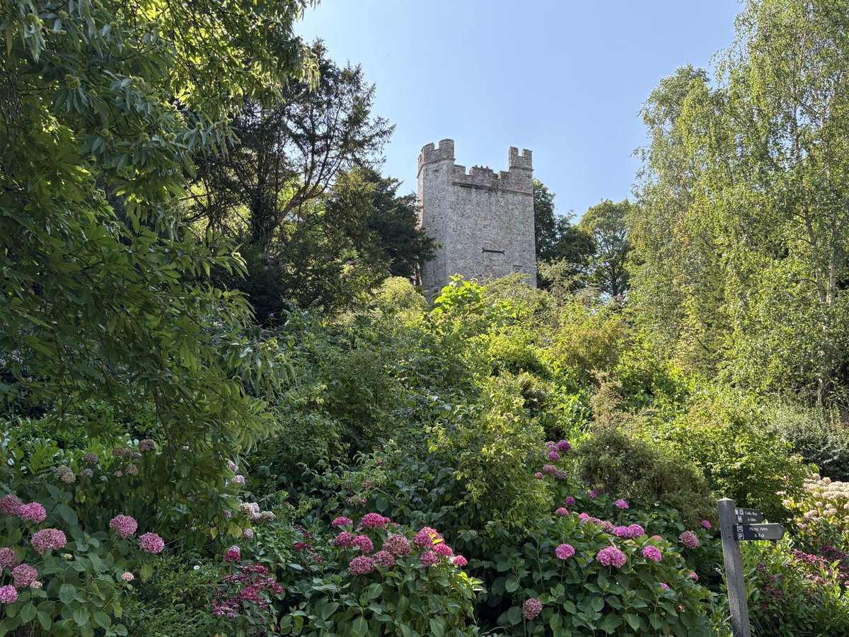 Jane Solomons tweet media