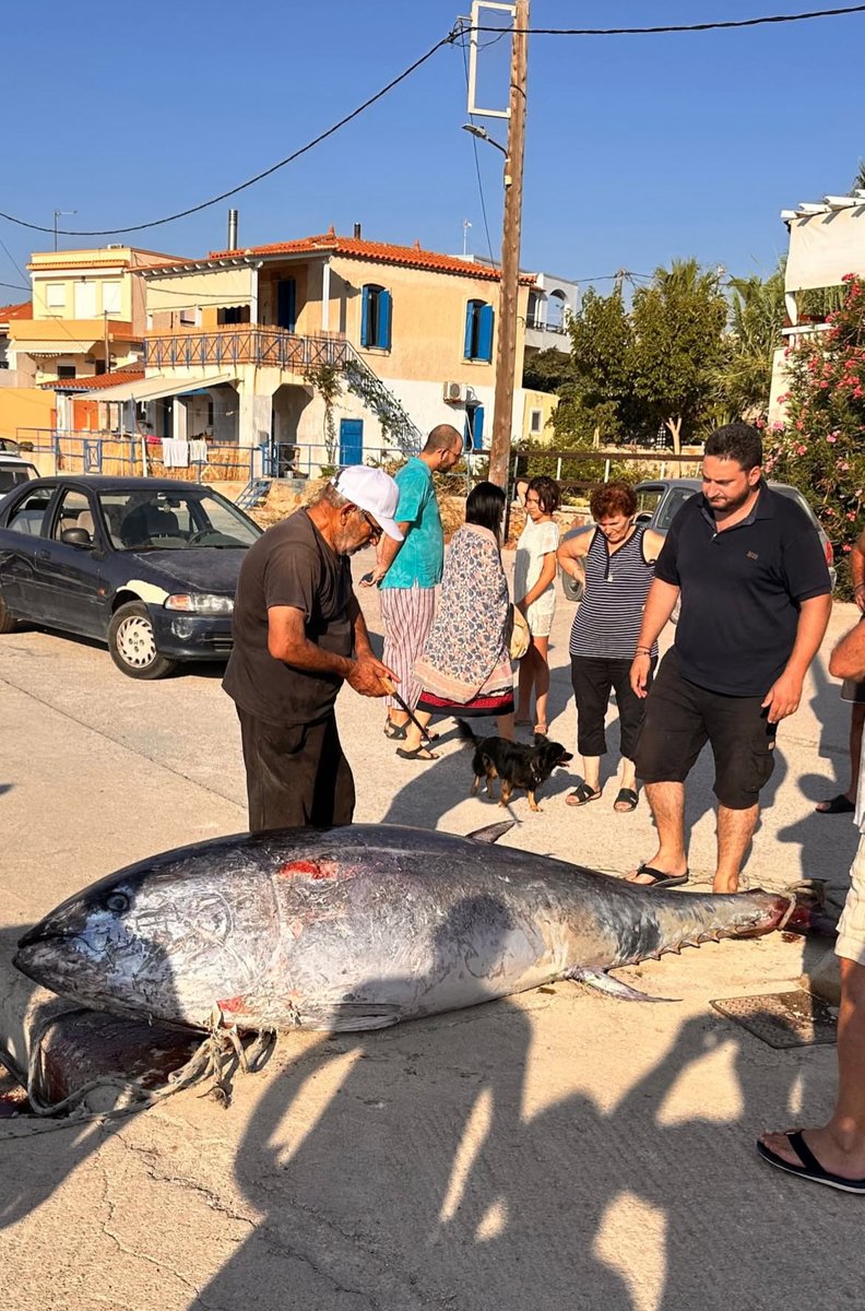 Να κολυμπάς και να σε ακουμπήσει ένα τέτοιο 😂😂😂