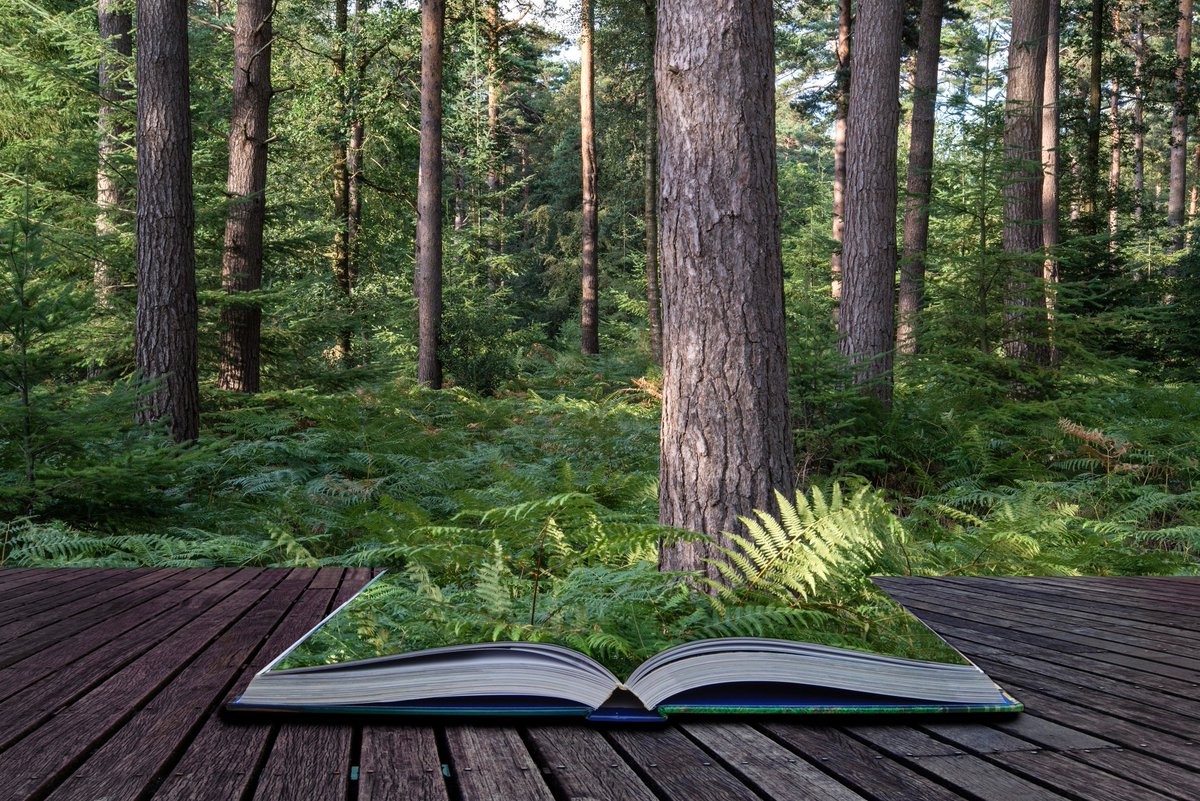 The Alba Explorers tweet media