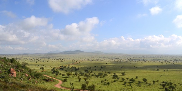 Did you know that the Sahara Desert was once so green it was home to hippos, lakes, and rivers? About 5,000-10,000 years ago, it underwent a dramatic transformation known as the African Humid Period, turning what we now see as endless sand dunes into lush landscapes! 🌍🌿