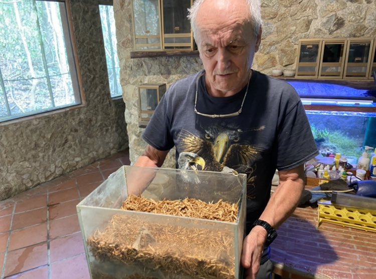 Triste noticia: nuestro gran amigo y maravilloso biólogo, Norbert Flauger falleció ayer. Inmensa pérdida para el país y la conservación de la biodiversidad. Maravillosa persona, que amaba Venezuela y lo demostraba con su diario quehacer. Descansa Norbert, te queremos.