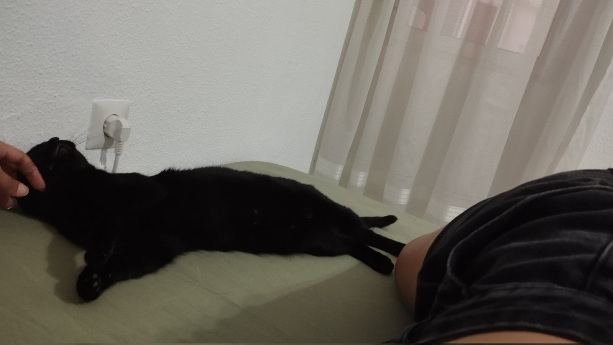degatri's tweet photo. Sí https://t.co/O66Bjz2K3b
