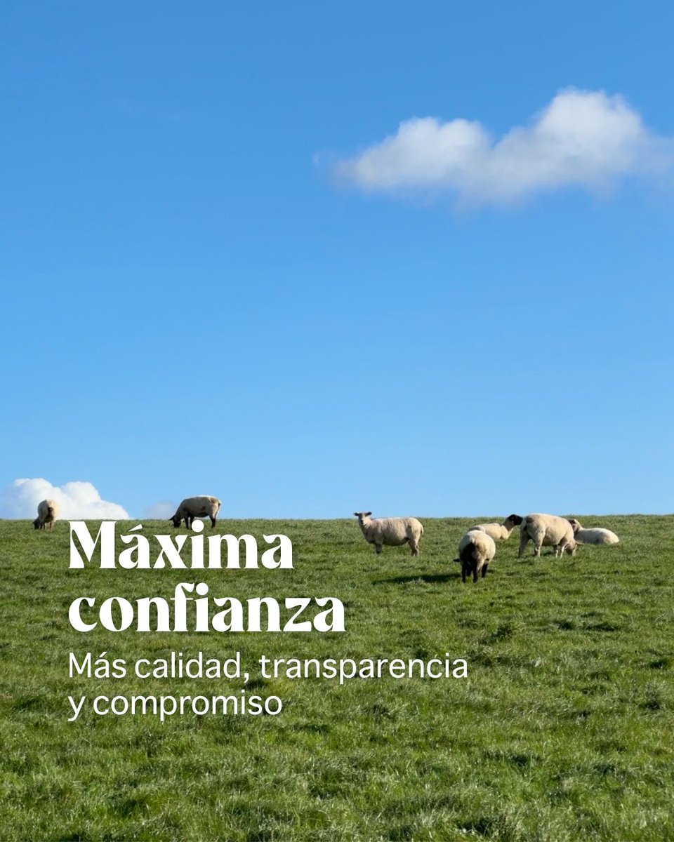 Transparencia y cuidado desde la granja ✅.

Trabajamos con productores certificados, que cumplen estrictos estándares de cuidado, alimentación y gestión responsable de los animales.

Transparencia y calidad en cada paso: desde la granja hasta tu mesa 👌🏼.