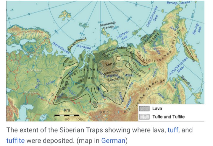 PuppetGodOracle's tweet image. Not even the worst mass extinction #pseud