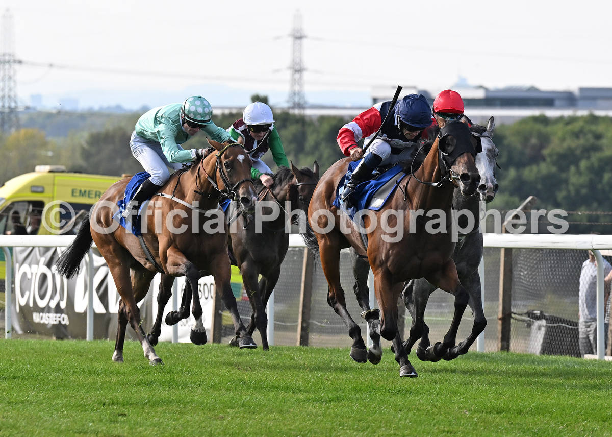 OfficialPhotographers tweet media