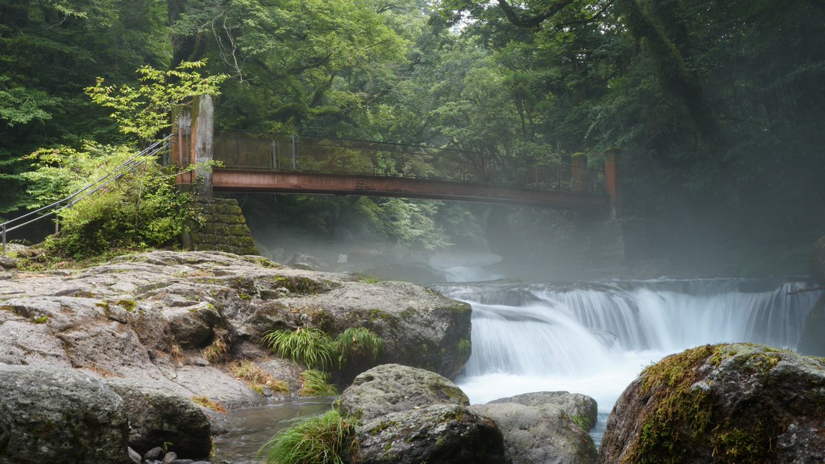 お値下げ☆SNAPSHOT Flak オークリー 偏光 サングラス フラック 2.0 XL OO9188-5859