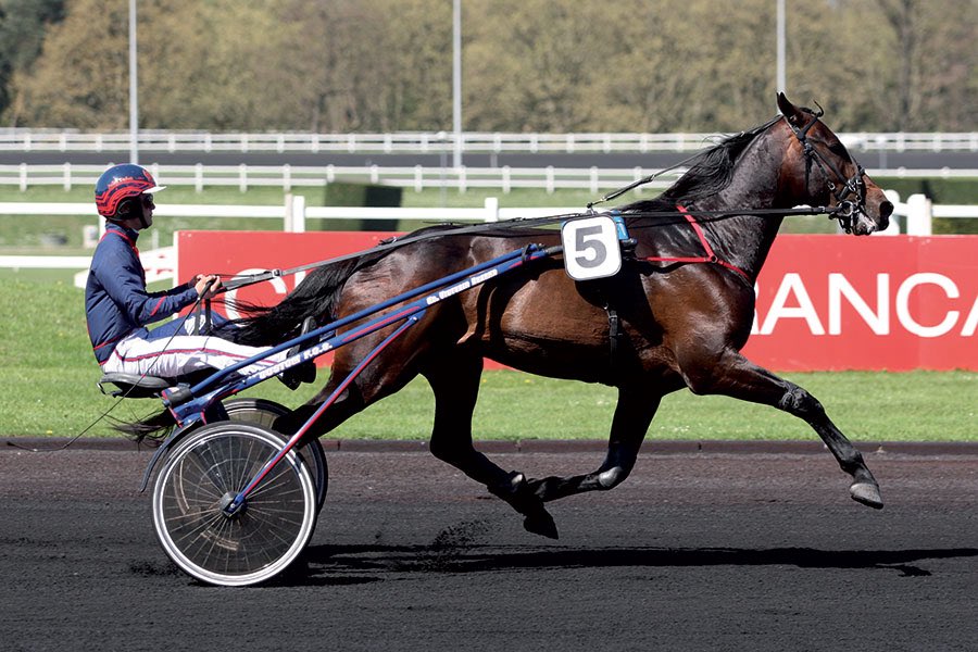 Two time Group 1 winner Texas Charm passed away a few hours ago 🙏